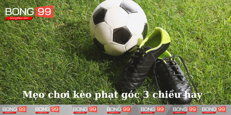 Choi-phat-goc-3-chieu-voi-meo-hay