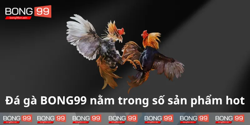Da-ga-online-tai-BONG88-nhan-duoc-su-yeu-thich-manh-me